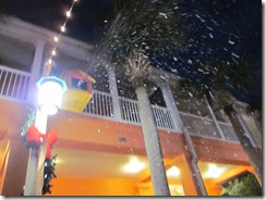 IMG_1525 IMG_1525