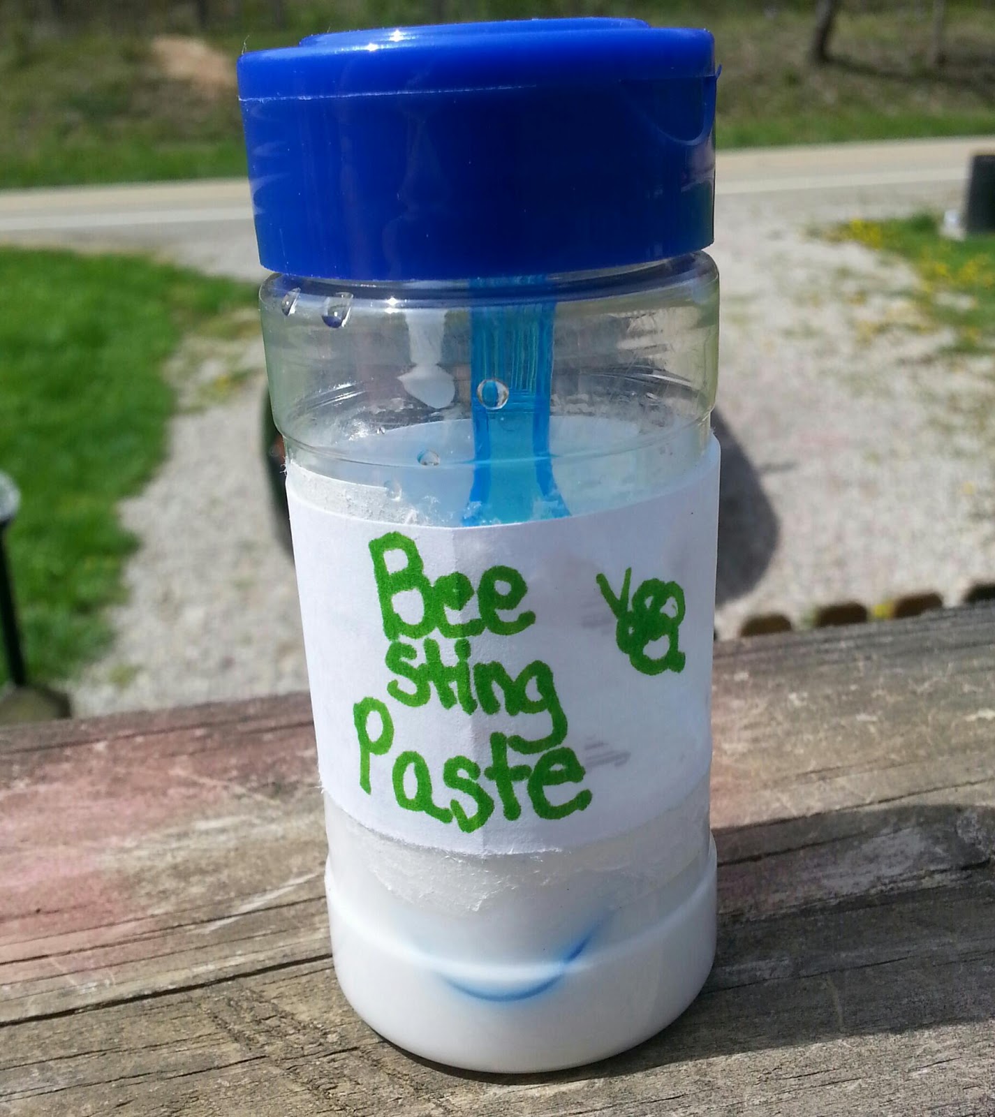 A Poor Mom's Guide to Country Living Bee Sting Paste