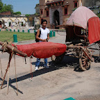 DSC_5593.jpg