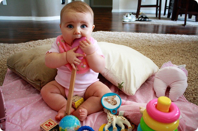 IMG_2758 IMG_2758