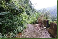 IMG_0008 IMG_0008