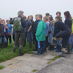 2010 Saeftinghe