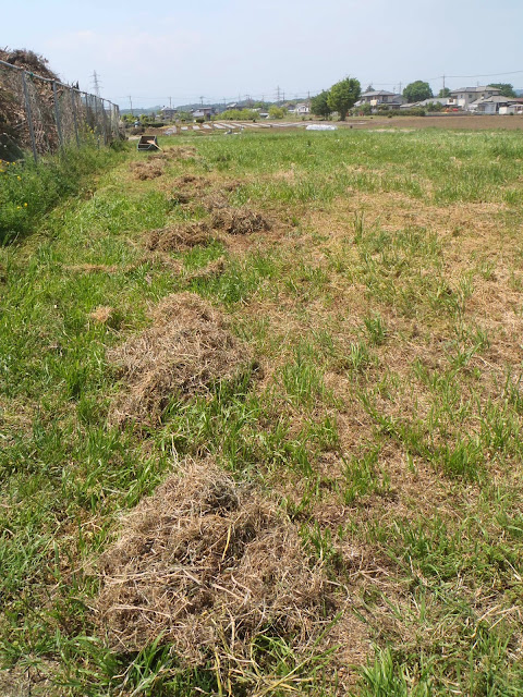 P5030003.JPG