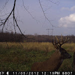 PICT0004.JPG