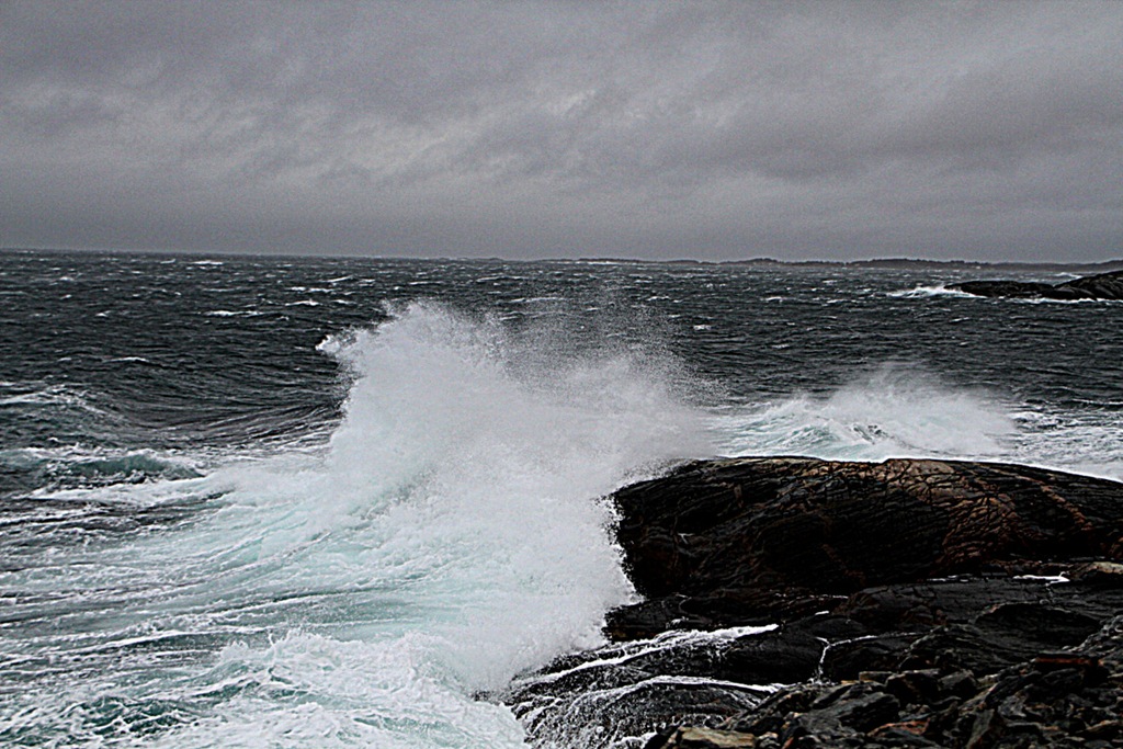 [IMG_9530%255B5%255D.jpg]