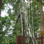 Canopy entrance