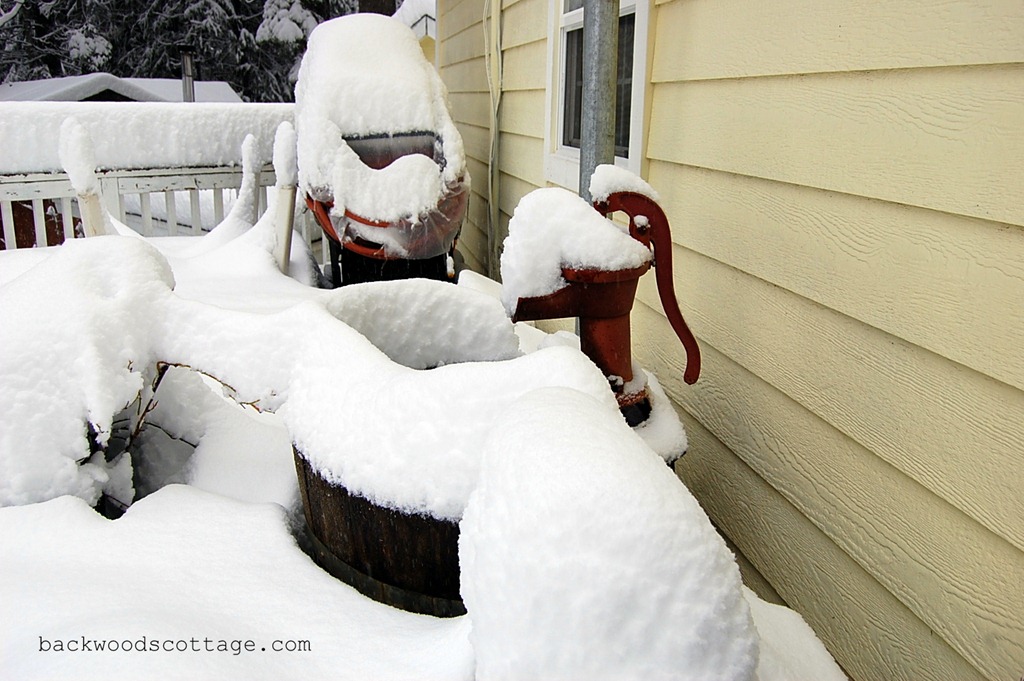[snowySunday5%255B4%255D.jpg]