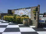 IMG00217-20100619-1533.jpg