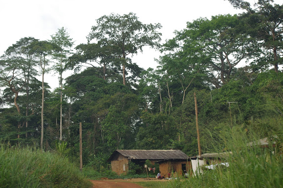 Ebogo (Cameroun), 9 avril 2012. Photo : J.-M. Gayman