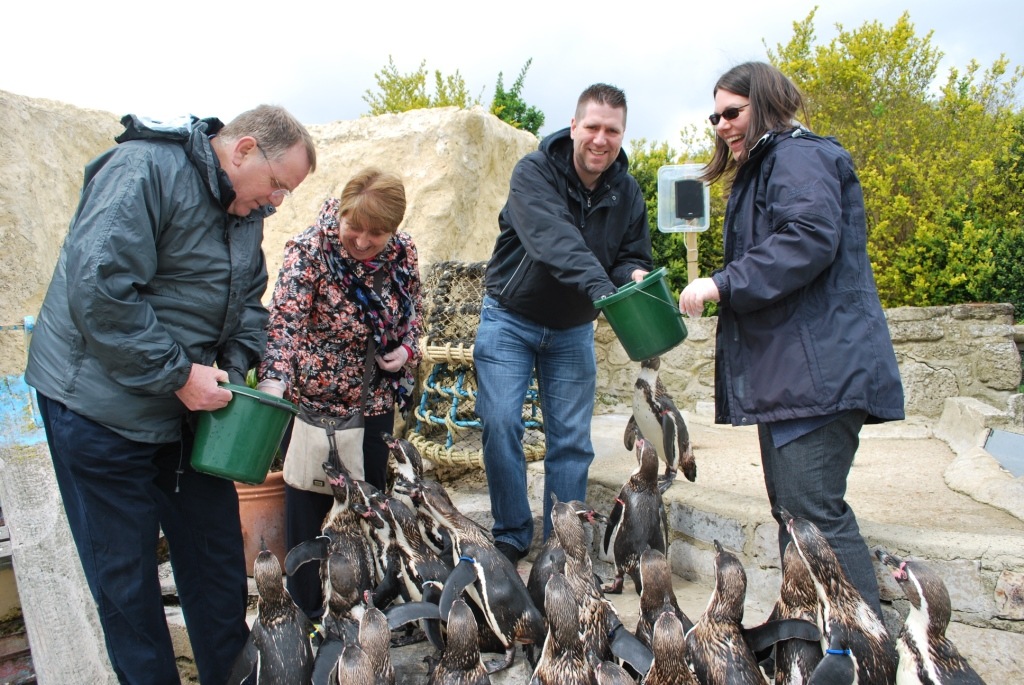 [DSC_0048%255B6%255D.jpg]