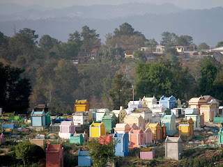 Cemetery, Chichicastenengo from hotel Pop Wuj roof. One of the members of our group swore he had read that Chichicastenengo was on the of the best places to die due to this beautiful cometary. Photos by TOM HART
