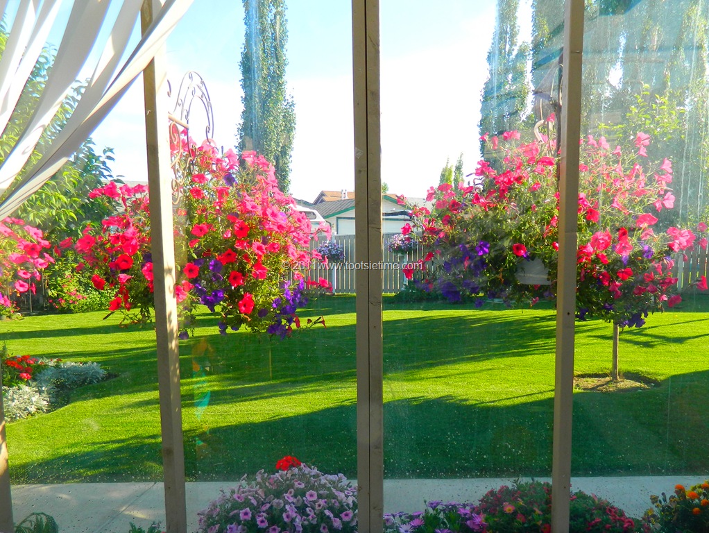 [DSCN1348%255B15%255D.jpg]