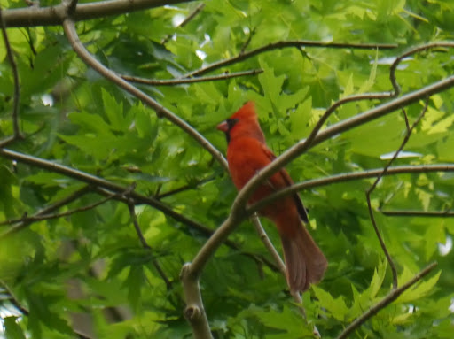 P1060270