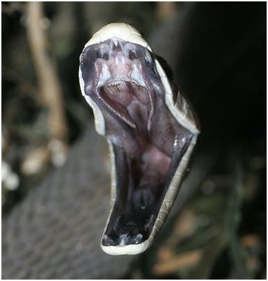[image%255B8%255D.png]