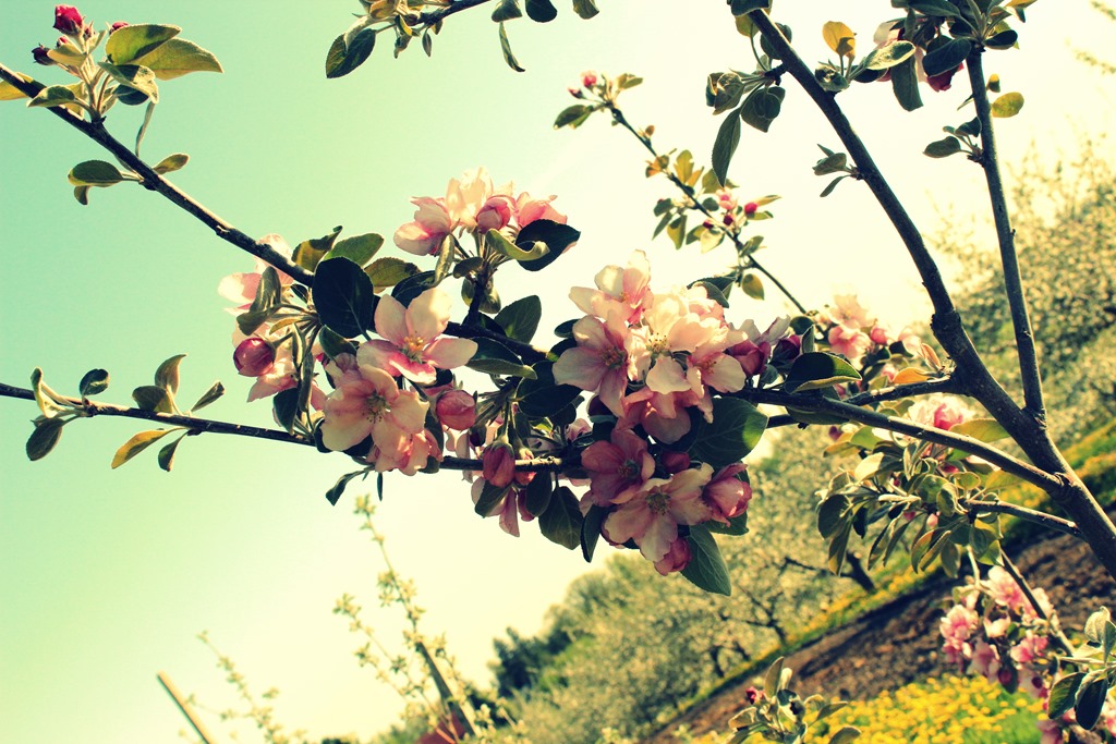 [IMG_78305.jpg]