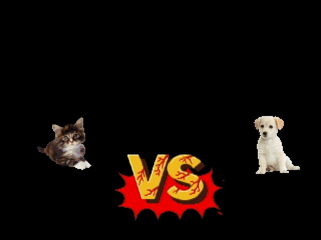[%2521%2520kitten%2520vs%2520puppy%255B2%255D.jpg]