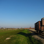 198.JPG
