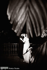Foto 1394pb. Marcadores: 04/06/2010, Casamento Daniela e Giuliano, Rio de Janeiro