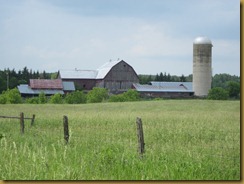 IMG_1585 IMG_1585