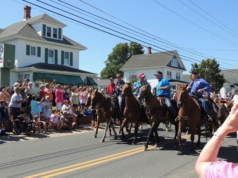 chincoteague-pony-swim-8