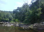 IMG00335-20090810-1124.jpg