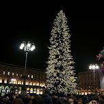 christmas tree across the duomo in Milan, Italy 