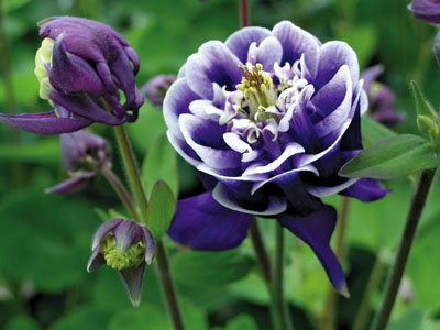 [image%255B63%255D.png]