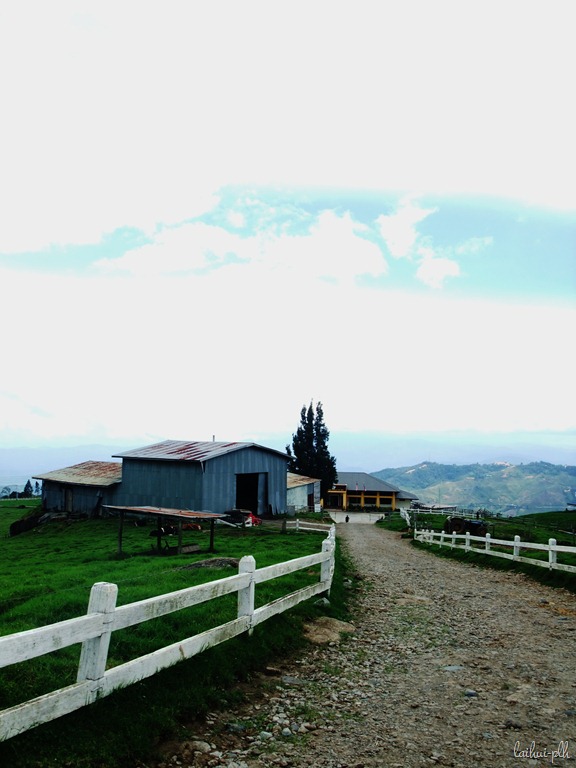 [DSCF86568.jpg]