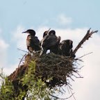IMG_6778.JPG