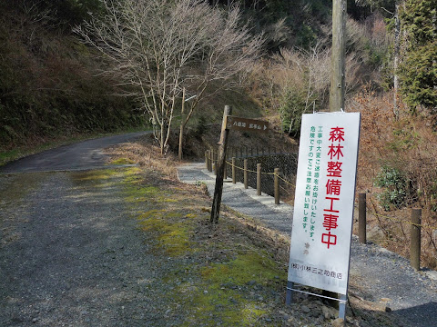 林道から離れて右側へ