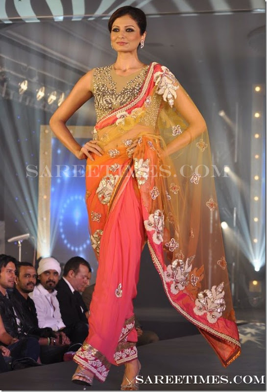 Designer_Shimmer_Saree_Gitanjali_Show