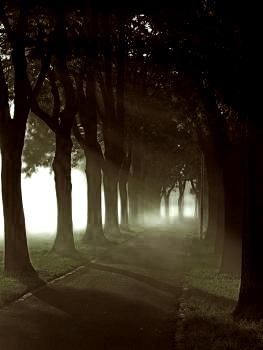 [artisticas-4%255B3%255D.jpg]