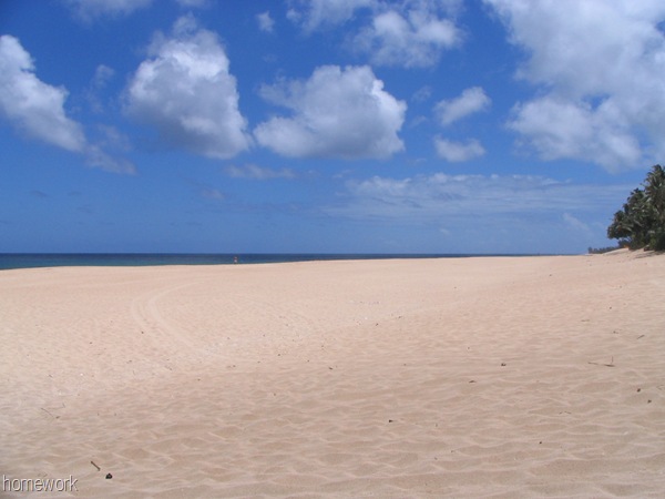 [IMG_0287%255B3%255D.jpg]