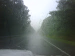 IMG00284-20090805-1841.jpg