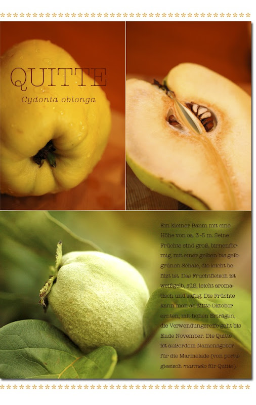 Qutten_1 Qutten_1