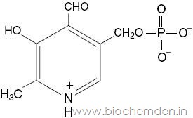 [Pyridoxal-phosphate13.jpg]