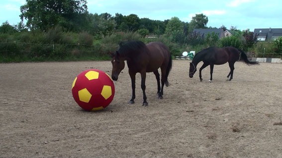 [20120905134947%25281%2529%255B2%255D.jpg]