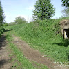 dsc06865.jpg