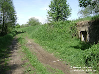 dsc06865.jpg