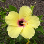 2006_07_21 -16-44 _052.JPG