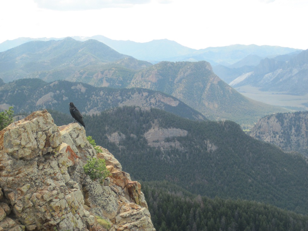 [IMG_1282%255B4%255D.jpg]