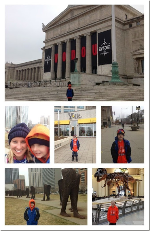 field museum