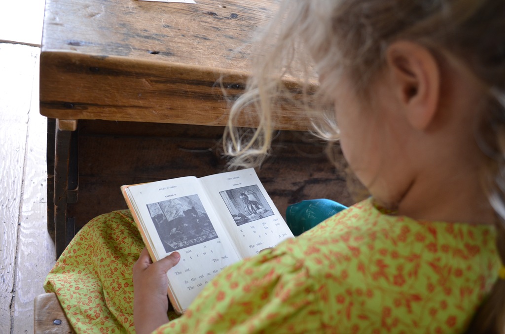 [DSC_0743%255B10%255D.jpg]