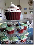cupcakestakethecake cupcakestakethecake