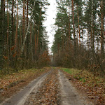 dsc01251.jpg