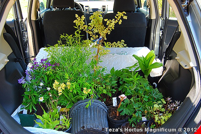 [DSC_0054%255B7%255D.jpg]