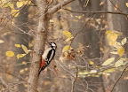 _MG_9884.jpg