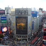 most amazing view of the shibuya crossing - busiest intersection in the world in Shibuya, Japan 