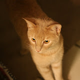 IMG_0778.JPG