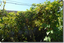 DSC_0054 DSC_0054
